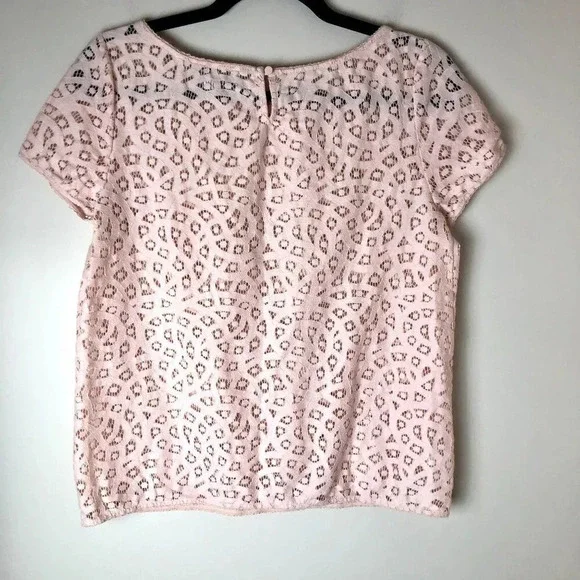 LOFT | Blush Pink Eyelet Short Sleeve Top - Picture 5 of 5